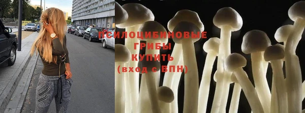 гидропоника Заводоуковск