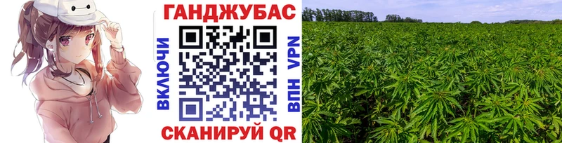 Бошки Шишки конопля  это как зайти  Шилка 